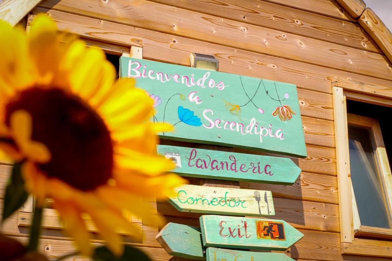 Buzanada Macaronesia Love Spa, Sauna Y Piscina المظهر الخارجي الصورة