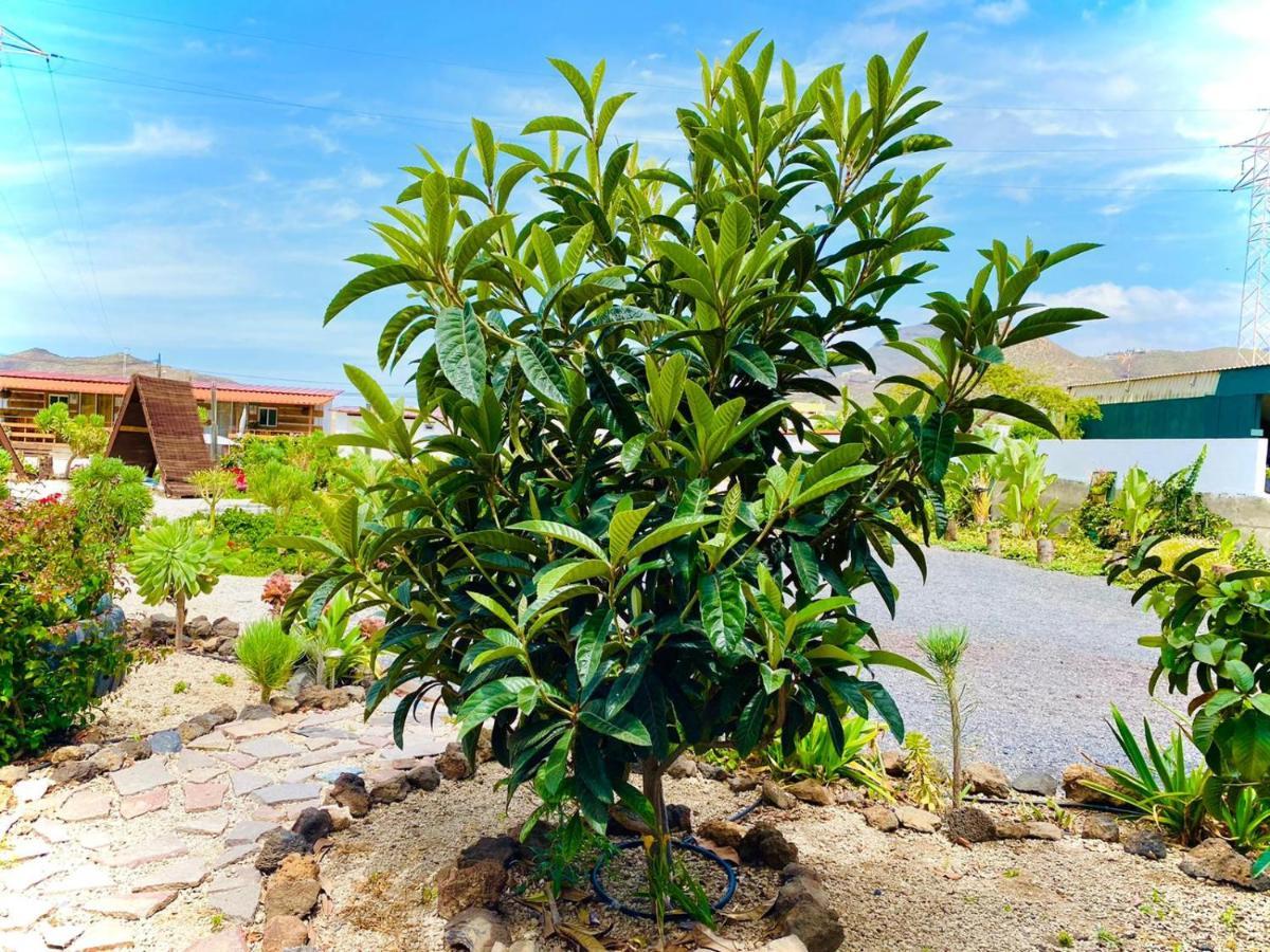 Buzanada Macaronesia Love Spa, Sauna Y Piscina المظهر الخارجي الصورة