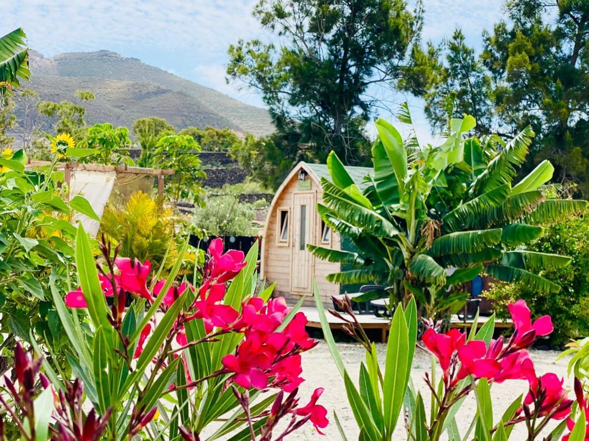 Buzanada Macaronesia Love Spa, Sauna Y Piscina المظهر الخارجي الصورة